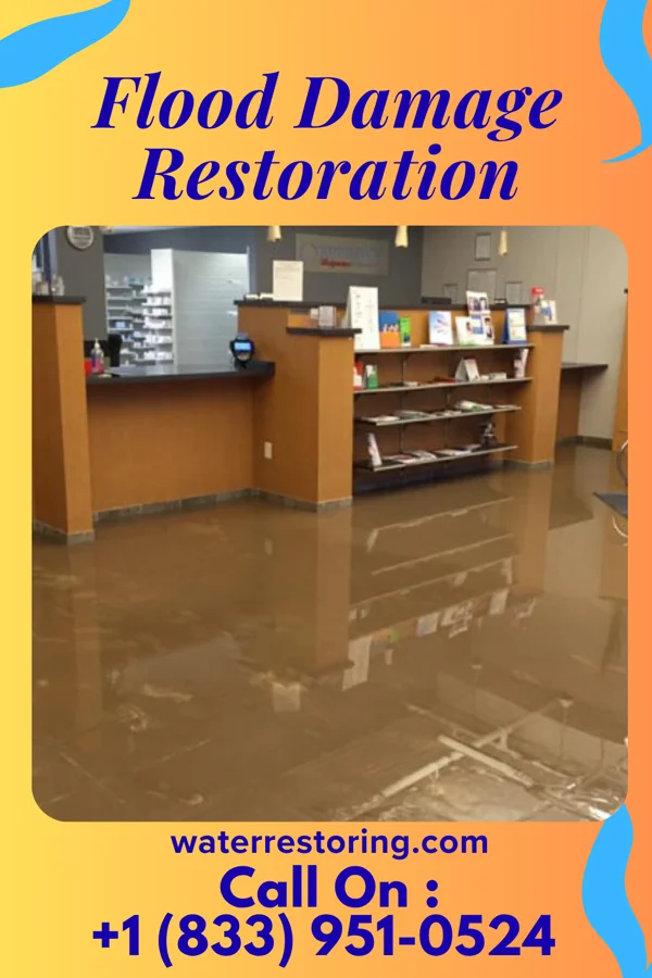 Flood Damage Restoration in Trinidad, TX