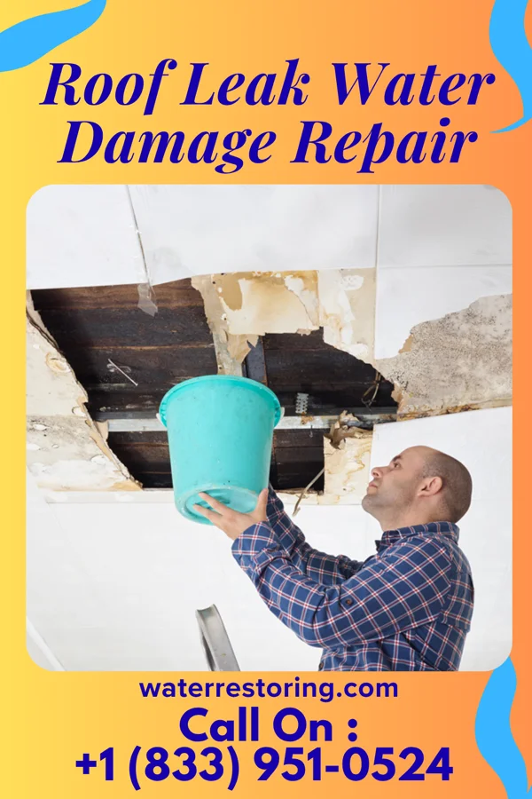 Roof Leak Water Damage Repair in Trinidad, TX