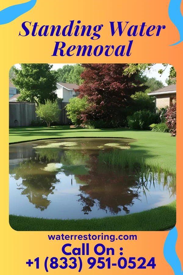 Standing Water Removal in Trinidad, TX